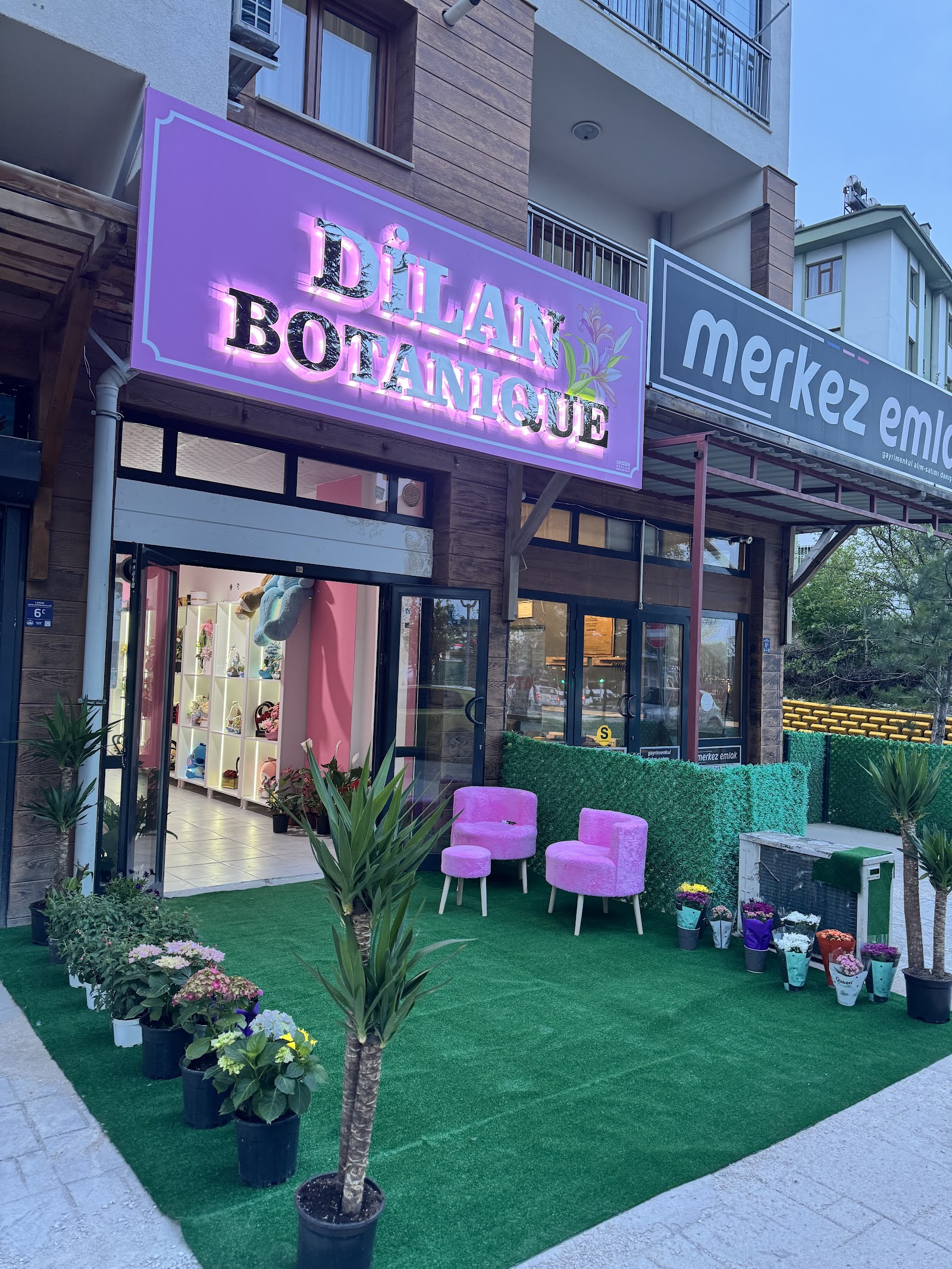 Abdullahpaşa Çiçekçiniz ( Dilan Botanique)