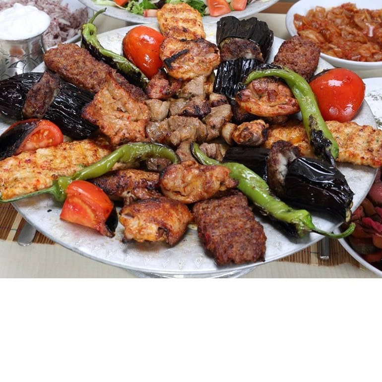 Asya Garden — Merkez, Elazığ kır düğünü mekanı görsel 8