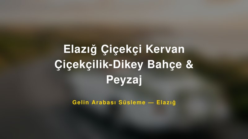 Elazığ Çiçekçi Kervan Çiçekçilik-Dikey Bahçe & Peyzaj — Elazığ Kır Düğünü Mekanı Rehberi