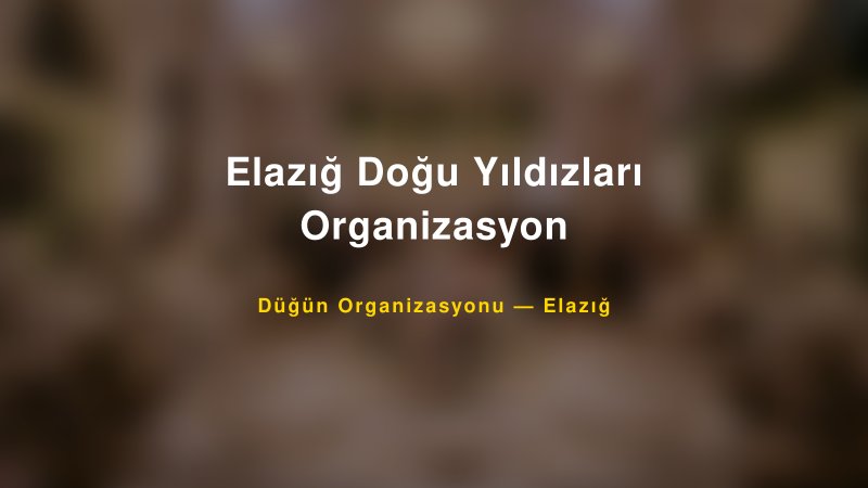 Elazığ Doğu Yıldızları Organizasyon — Elazığ Kır Düğünü Mekanı Rehberi