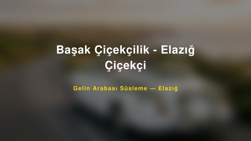 Başak Çiçekçilik - Elazığ Çiçekçi Gelin Arabası Süsleme Fiyatları